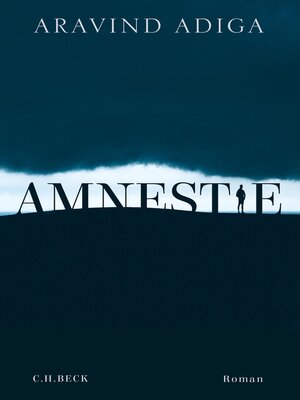 cover image of Amnestie